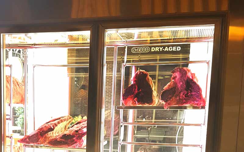 Özel Üretim Dry Aged Dolap
