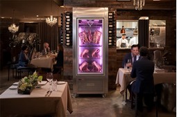 Everything You Have To Know About About Dry Aged Cabinets