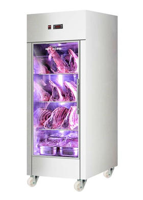 S2000 Monoblock Dry Aged Fridge Single Door - SDRY-1M